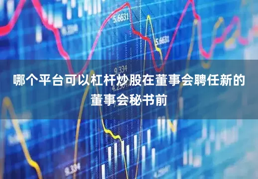 哪个平台可以杠杆炒股在董事会聘任新的董事会秘书前